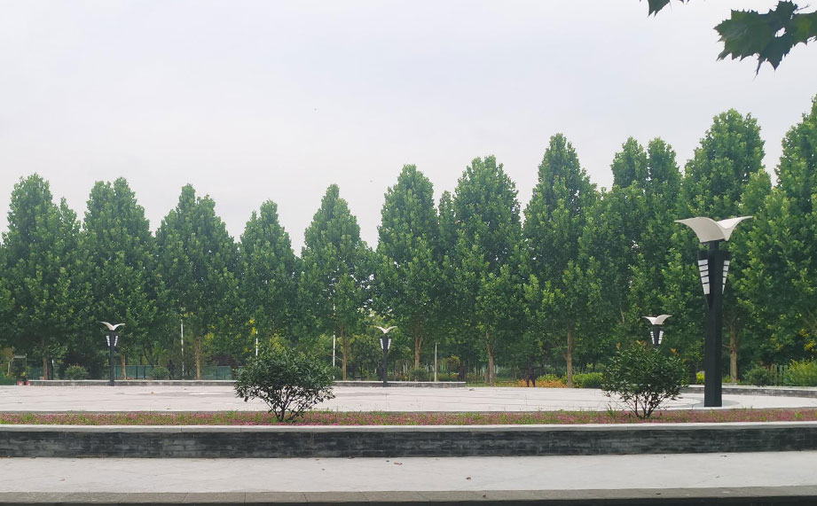 景觀燈，公園景觀燈.jpg